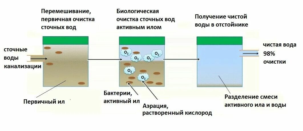 Схема установки биологической очистки сточных вод. Биологическая очистка сточных вод микроорганизмами. Схема полной биологической очистки сточных вод. Биологический метод очистки сточных вод. Очистка вод илом