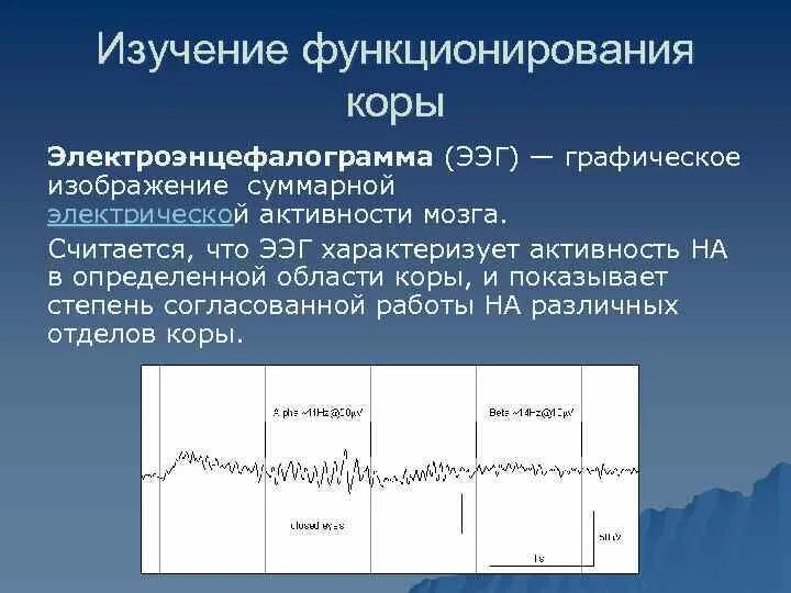 Биоэлектрическая активность коры. Электрическая активность коры головного мозга.. ЭЭГ. Исследование мозга ЭЭГ. Мозг активность ЭЭГ.