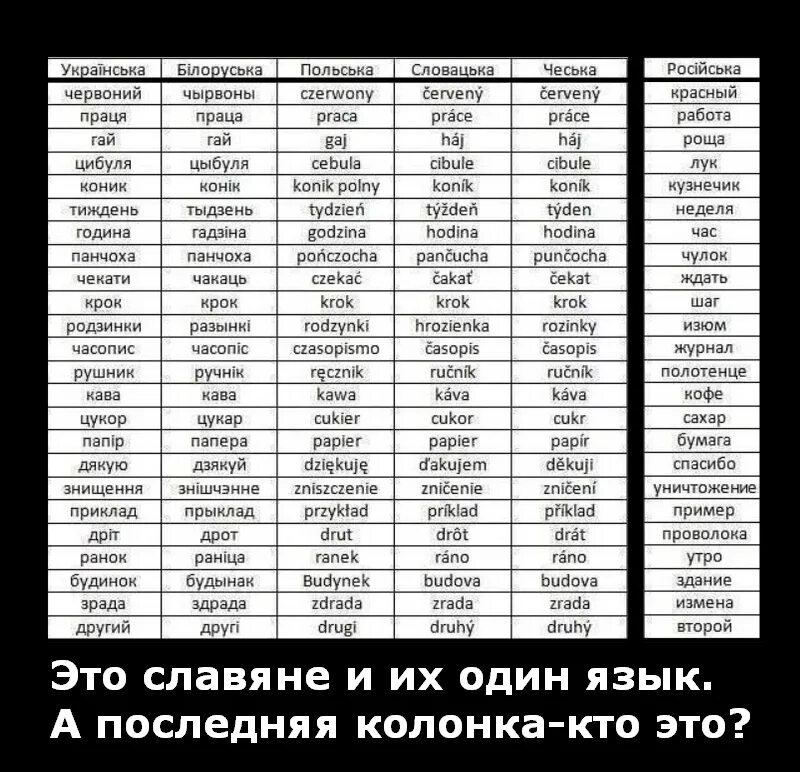 Язык похожий на украинский. Белорусские слова. Схожие слова в славянских языках. Слова на украинском языке. Украинский язык и славянские языки.