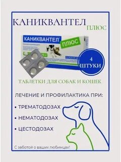 Каниквантел