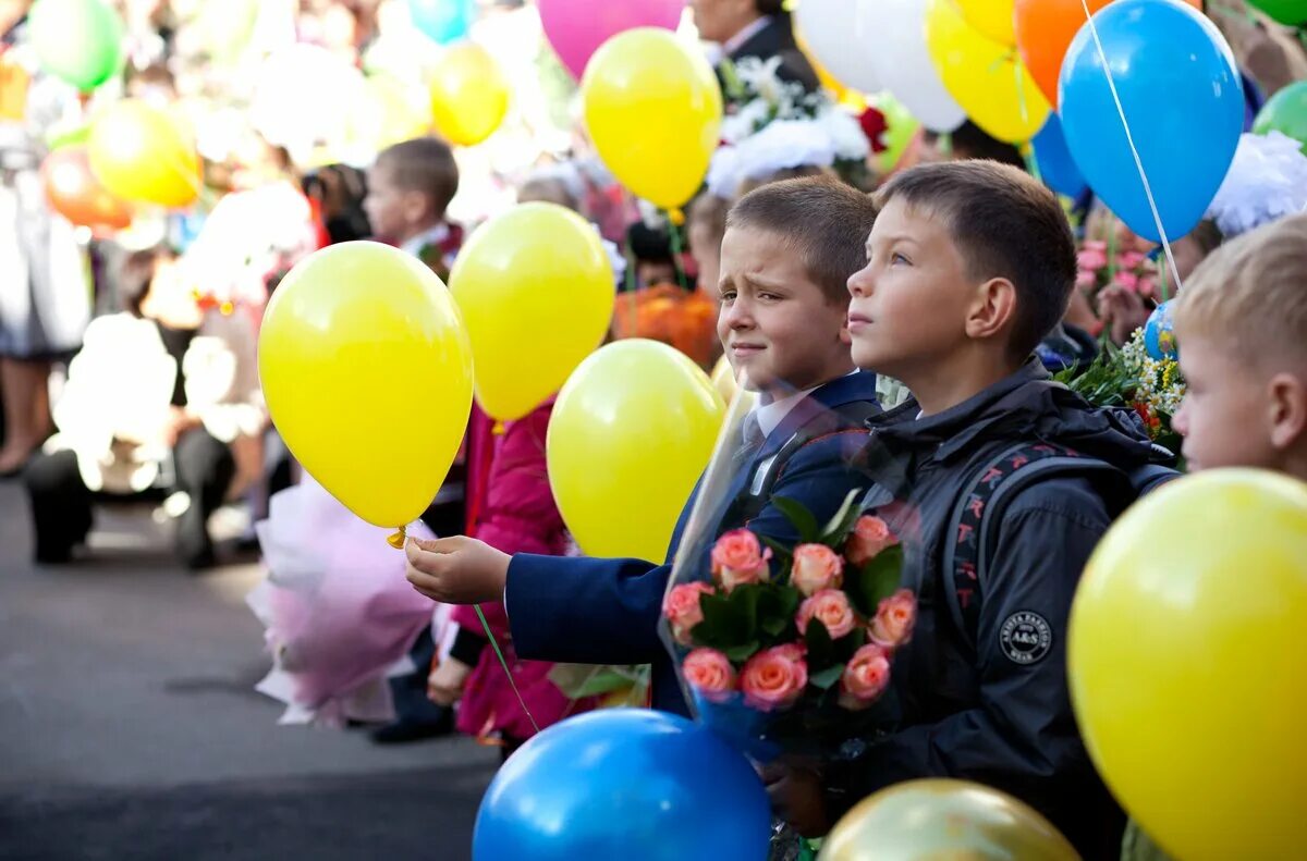 Школа 13 новости. Др 13 школы. Школа 13 Москва. Школа 1715 Москва. Коченево школа 13.