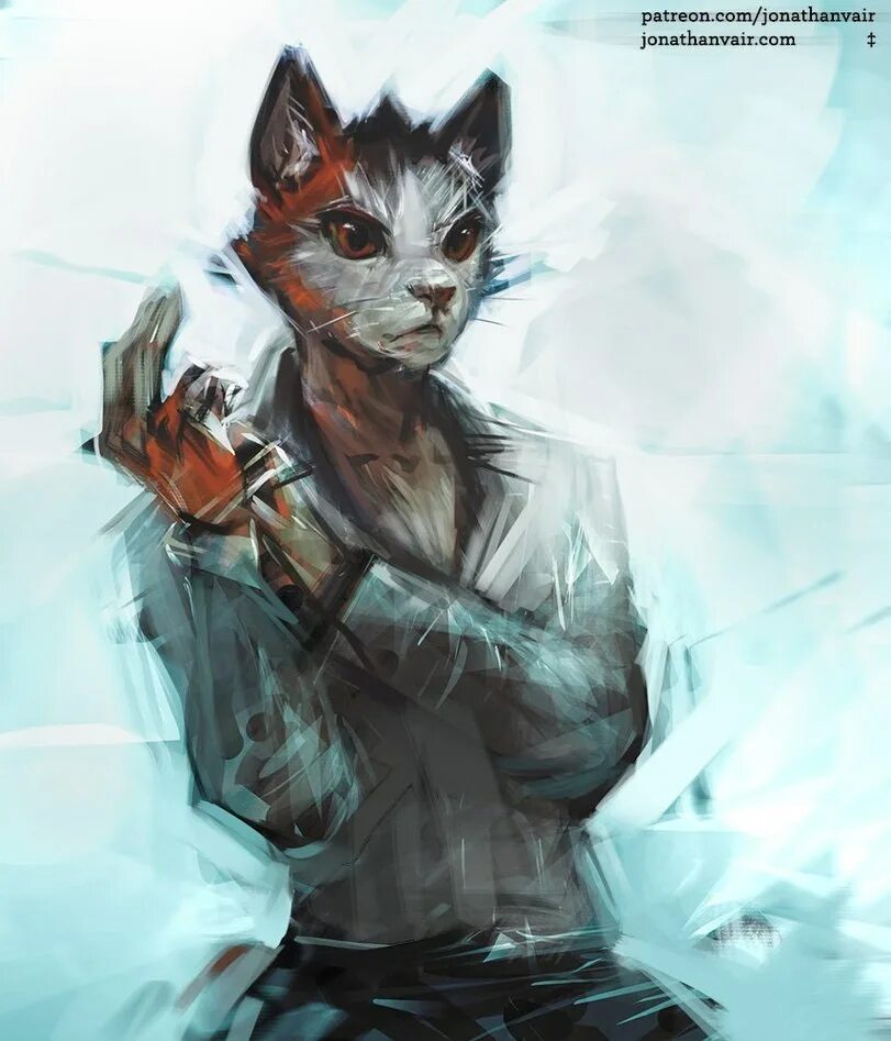 Киберкот