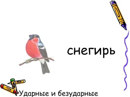 Звуки слова снегирь
