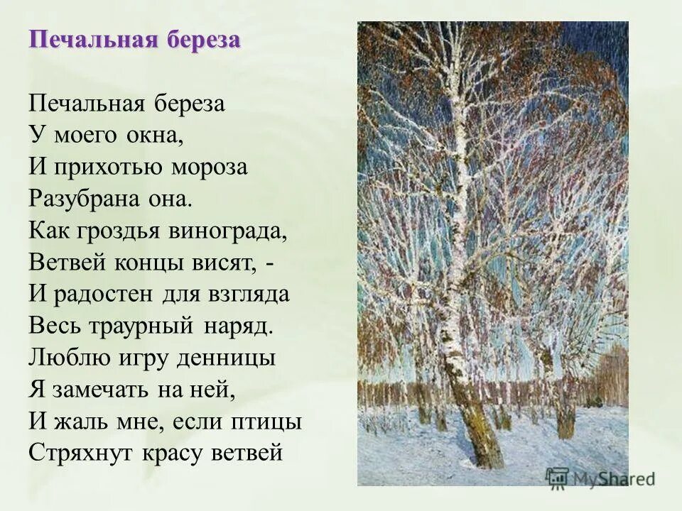 Анализ стихотворения учись у них фет. Стихотворение Фета печальная береза. Фет береза стих. Фет печальная берёза Есенин.