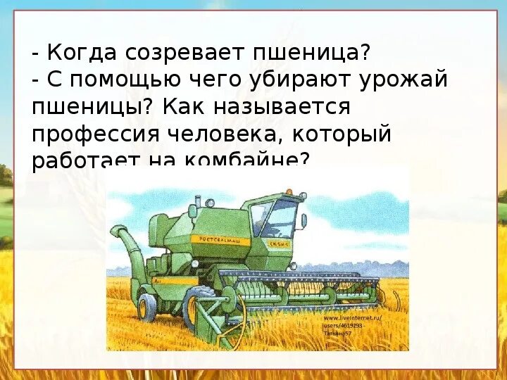 В какое время года убирают хлеб. Откуда к нам хлеб пришел для дошкольников. профессия хлебороб. составление рассказа откуда хлеб пришел. откуда хлеб пришел задания для дошкольников.