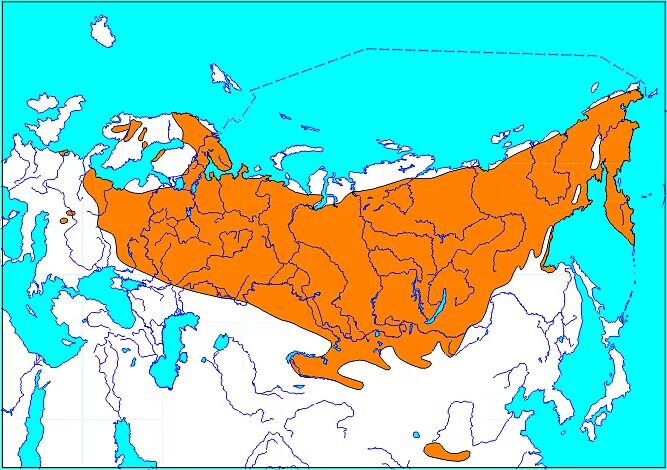 Ареал мышь. Ареал красной полевки. Ареал мышь. Ареал мышь. Apodemus uralensis распространение карта.