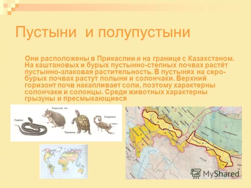 Карта пустынь и полупустынь России. Зона пустынь и полупустынь в России на карте. Географическое положение пустынь и полупустынь в России. Географическое положение пустынь и полупустынь в России на карте.