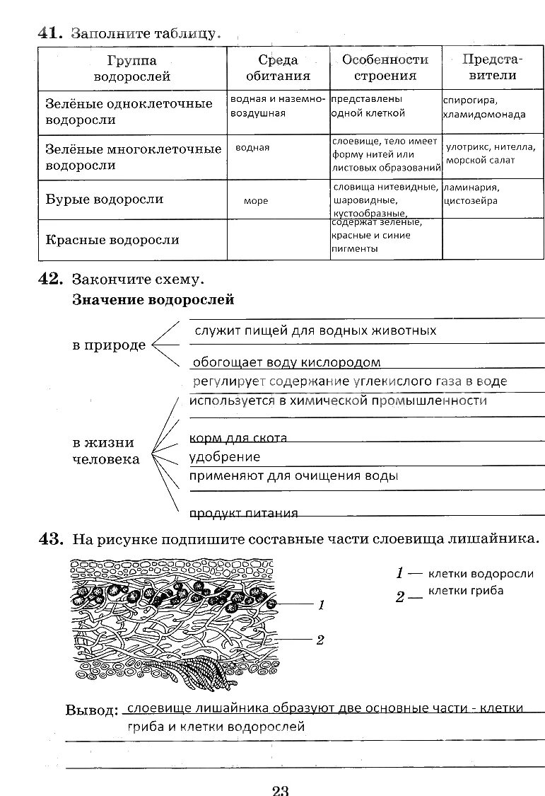 Таблица водоросли 5 класс биология Пасечник. Таблица водоросли 5 класс биология. Таблица по биологии 5 класс водоросли Пасечник. Основные группы водорослей биология 6 кл таблица.