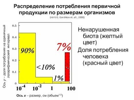 Распределение первичной продукции