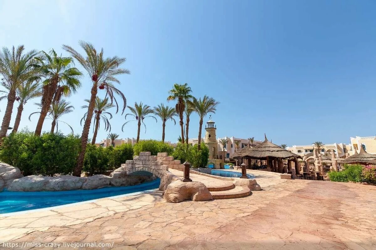Отель эль фараана шарм эль шейх. Отель эль фараана шарм эль шейх. Клаб фараана риф шарм. Шарм-эль-шейх faraana reef. Club reef resort 4 шарм-эль-шейх.