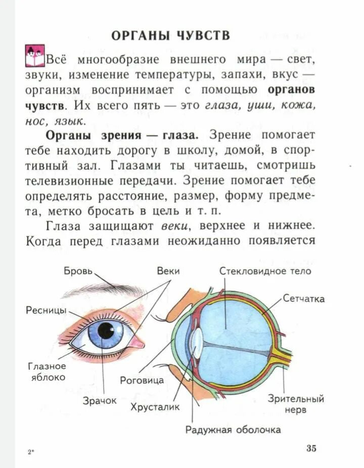 Строение глаза задание. Органы чувств глаза. Строение глаза. Орган чувств глаза 3 класс. Физ-ра учебник 1-4 классы органы чувств.