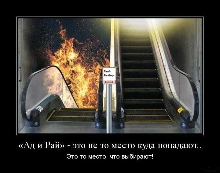 Вопросы в раю