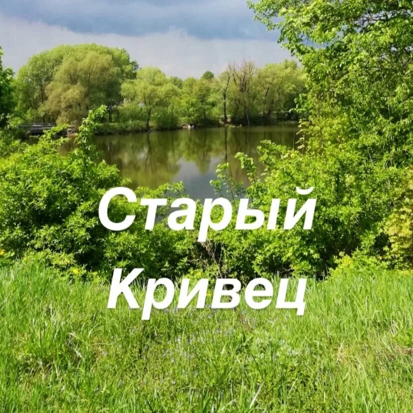 Старый кривец брянская область. Погода старый кривец брянской. Погода старый кривец брянской. Поселок опытная станция новозыбков. Погода старый кривец брянской.