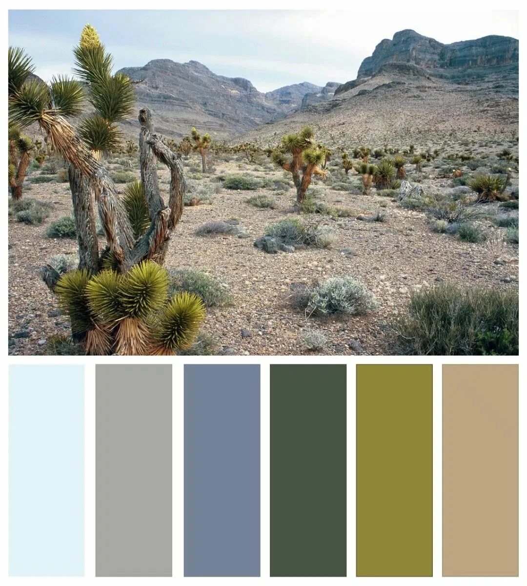Территориальное сочетание природных. Цветовая палитра пустыня. Природные цвета. Палитра цветов пустыни. Сочетания цветов в пустыне.