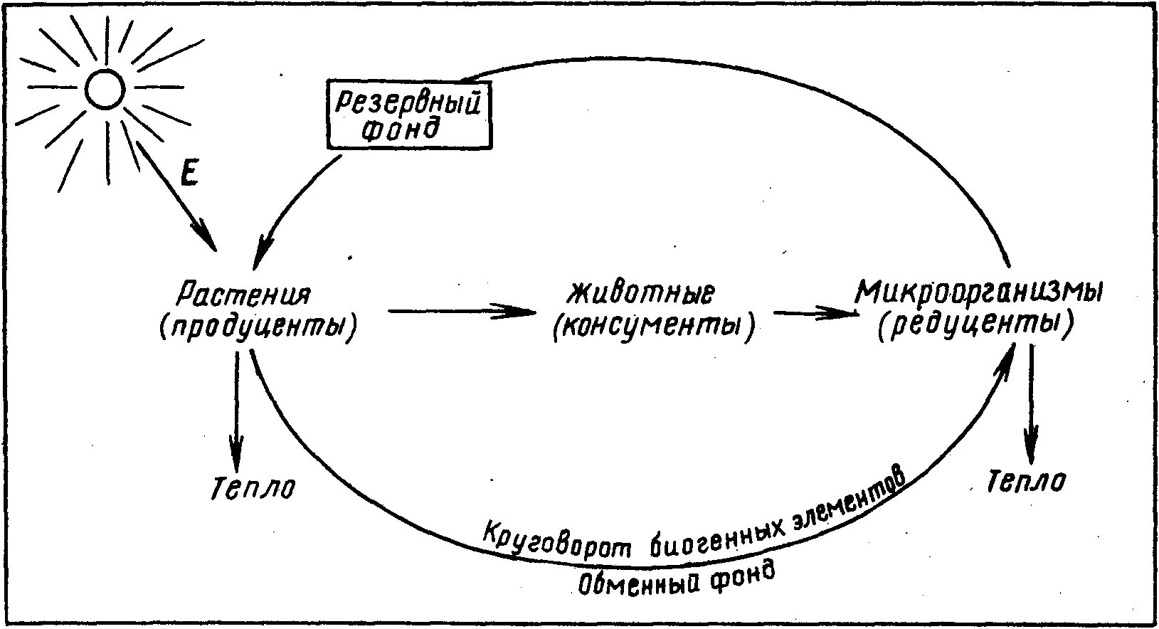 Схема биологического круговорота веществ. Круговорот веществ и энергии в биосфере схема. Круговорот энергии в биосфере схема. Биологический круговорот веществ в биосфере схема. Круговорот веществ в биосфере схема