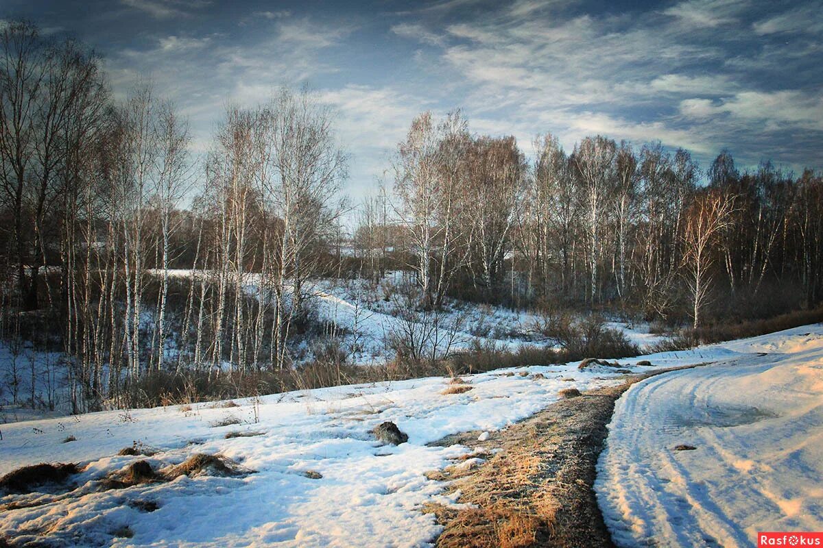 Фотография март 7. Март природа. Весенний пейзаж март. Мартовский пейзаж.