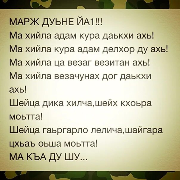 Муха да деза. Чеченские стихи. Стихи на чеченском языке. Стих нохчи. Чеченские загадки.