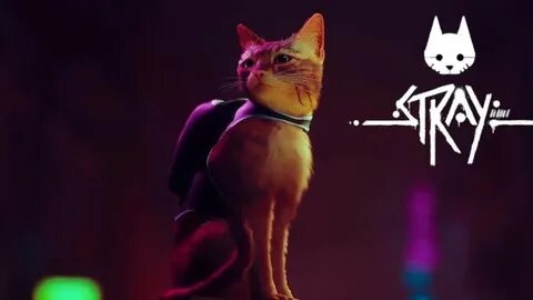 Стрей играть