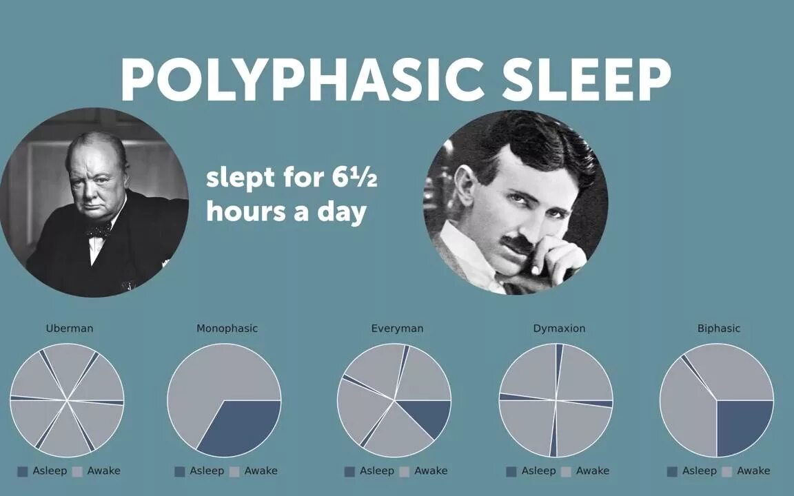 Сколько спал дали. Режим полифазного сна Тесла. Схемы полифазного сна. Многофазный сон.