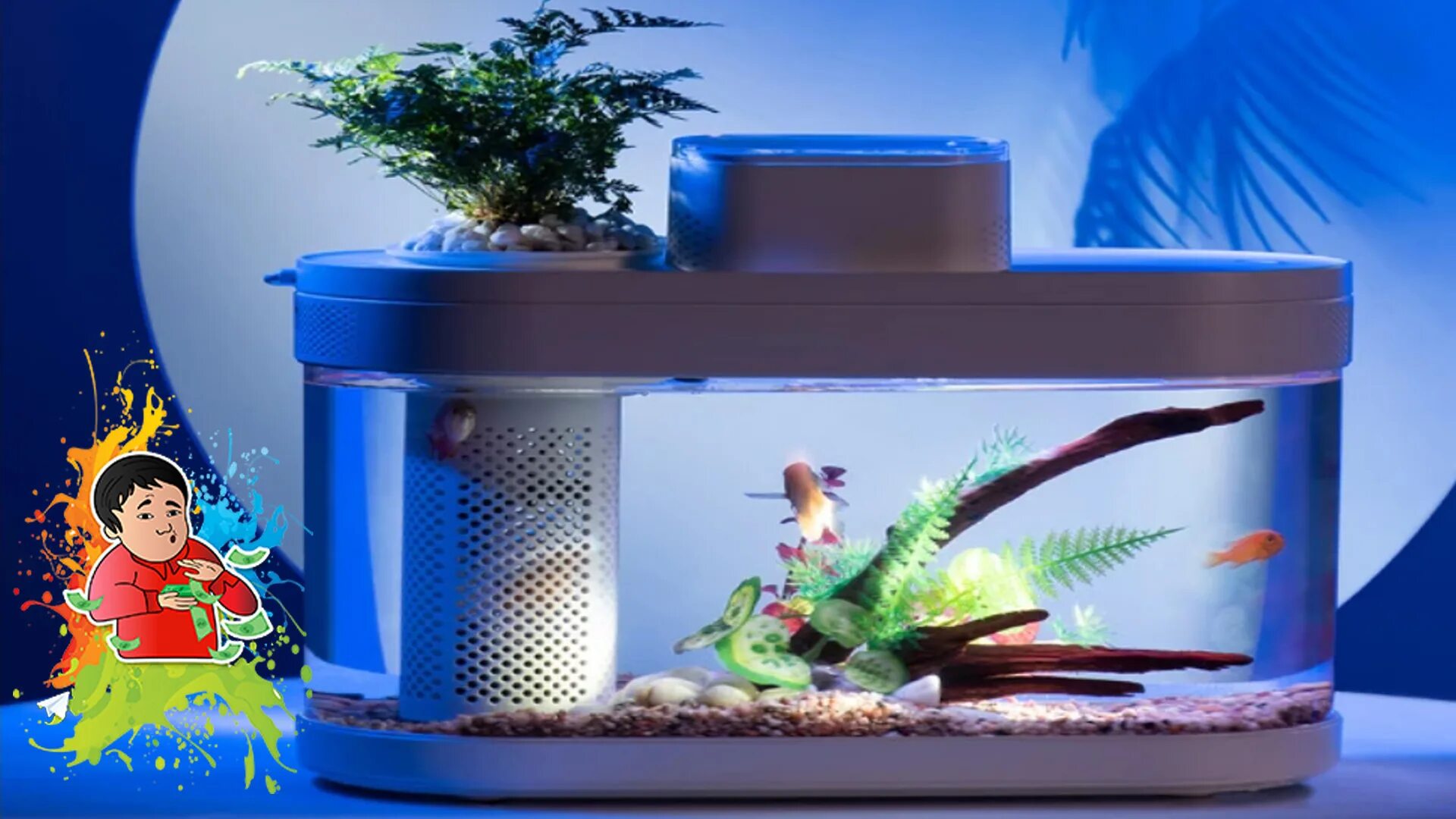 умный аквариум. аквариум фото. аквариум. умный аквариум mijia. умный аквариум xiaomi mijia myg100.