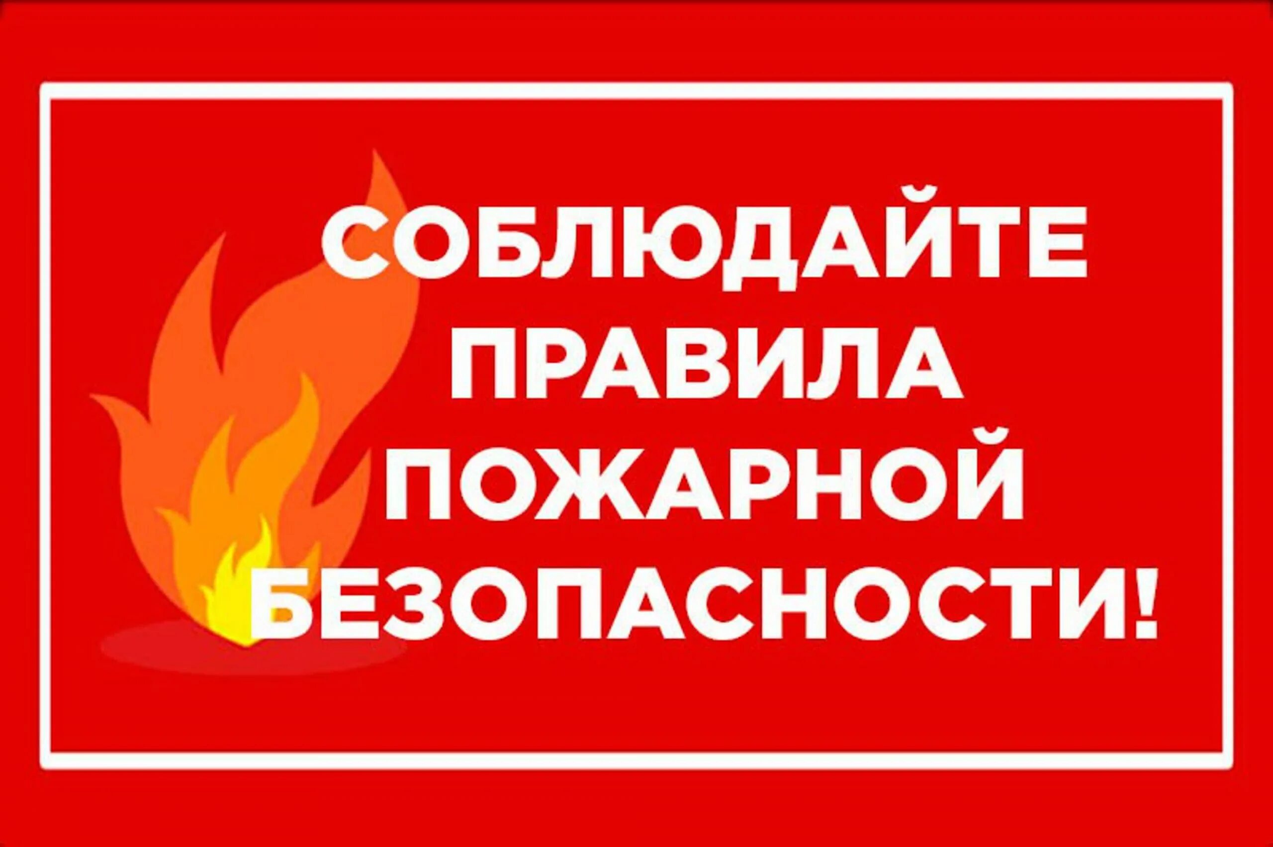 Ппб 2025