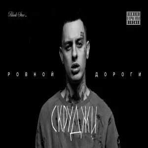 Скруджи книга