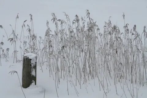 Сухое теплое лето и холодная снежная зима