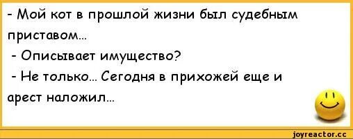 Человек невежа. Какого кота вы бы выбрали. Смешной толстый кот. Мой кот думает что я живу у него. Невежда и невежа значение слова.