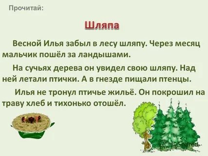 Год в лесу речь