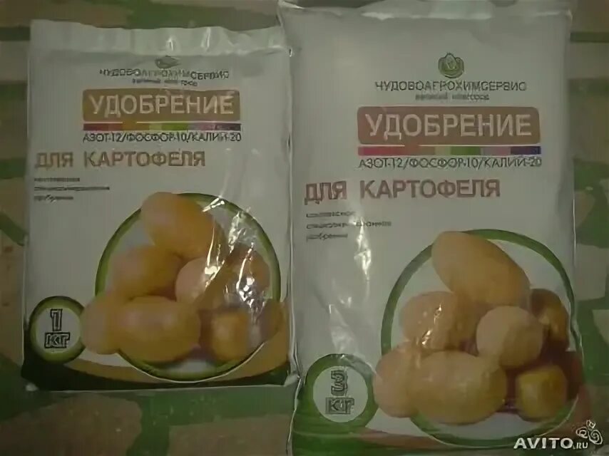 Какие удобрения вносить при посадке картофеля. Какие удобрения вносить при посадке картофеля