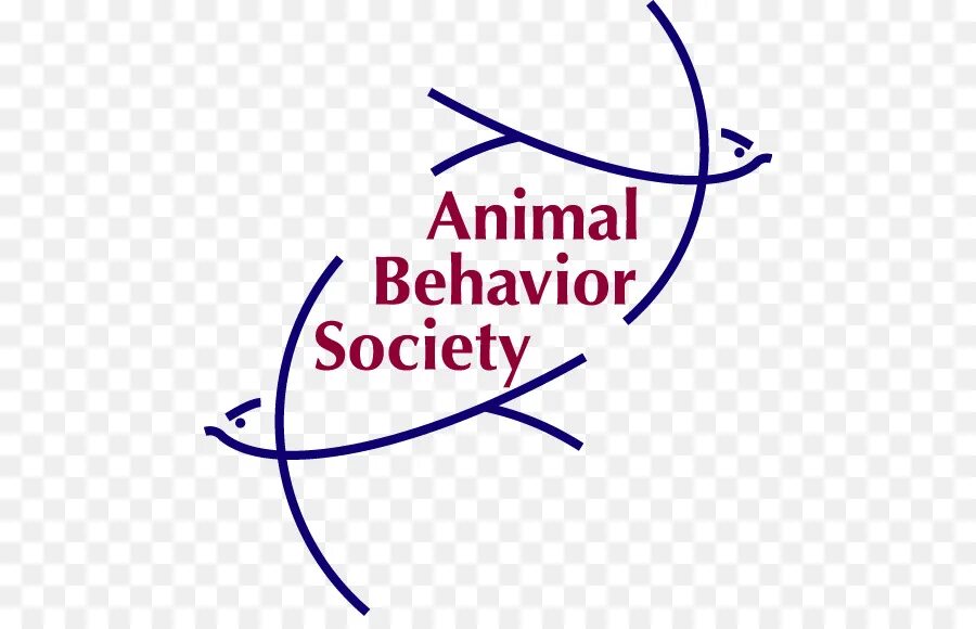 Animal Behavior. ABS logo. Ab logo. ABS logo PNG.