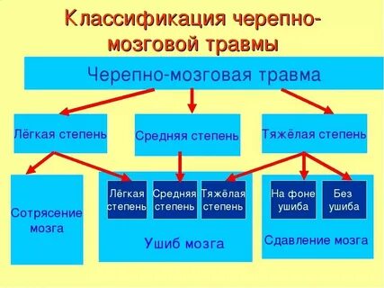 1 черепно