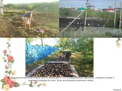 За огородом следовали