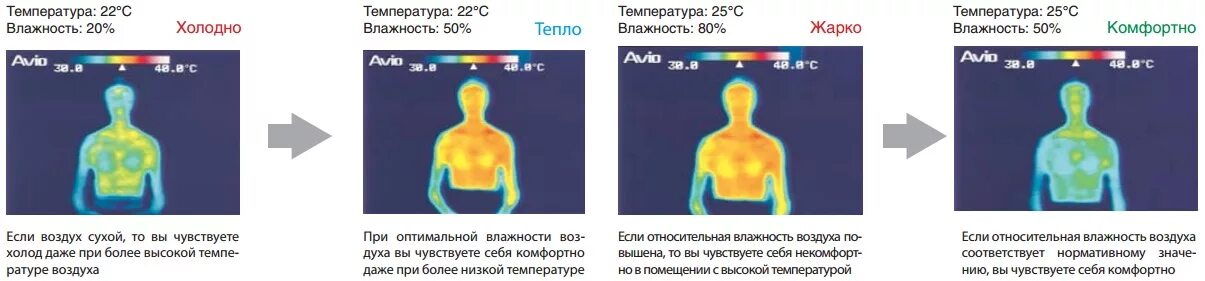 Температура ощущения воздуха. Как человек ощущает температуру. Влияние влажности на ощущение температуры. Влияние влажности воздуха на ощущение температуры. Холодный влажный воздух.