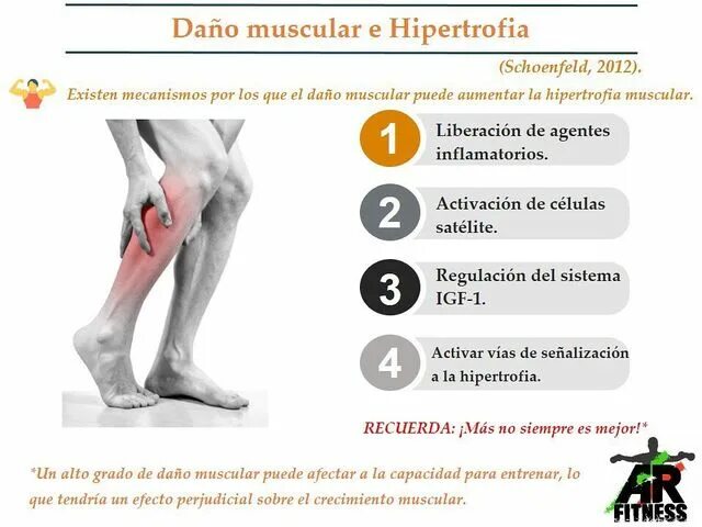 Como conseguir hipertrofia muscular