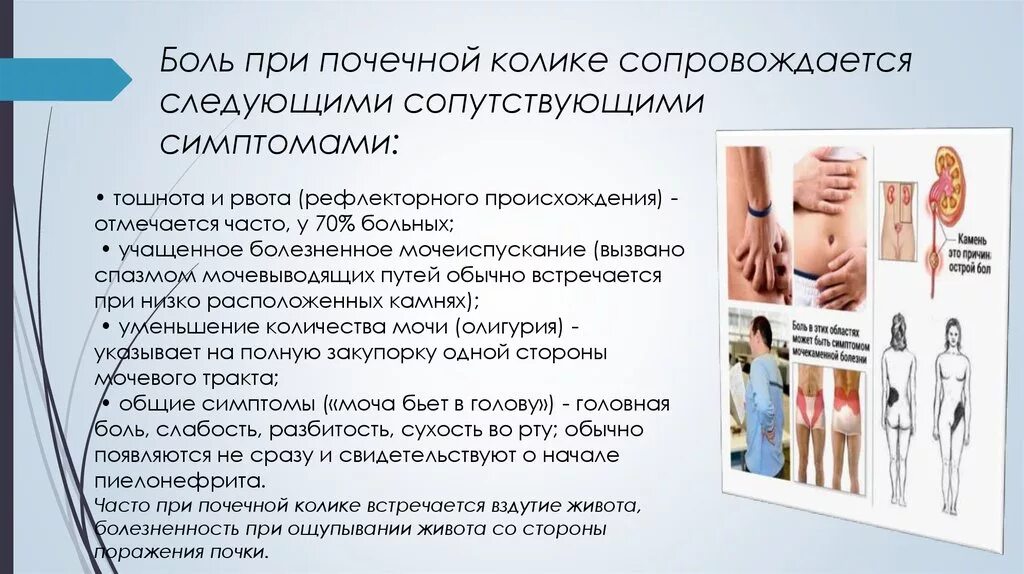 Симптомы проблем с почками. Почечная колика презентация. локализация боли при почечной колике. симптомы при почечной колике у мужчин. симптомы при почечной колике у женщин.