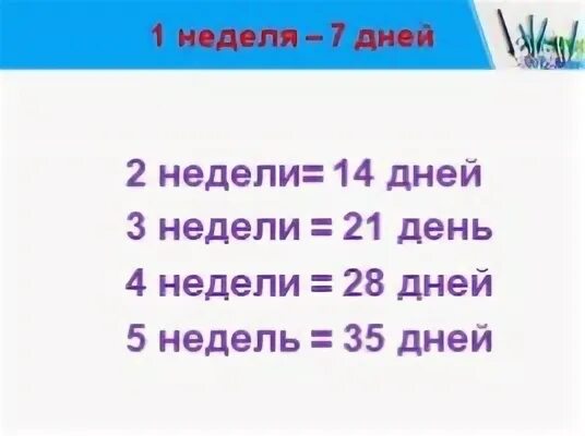 4 суток