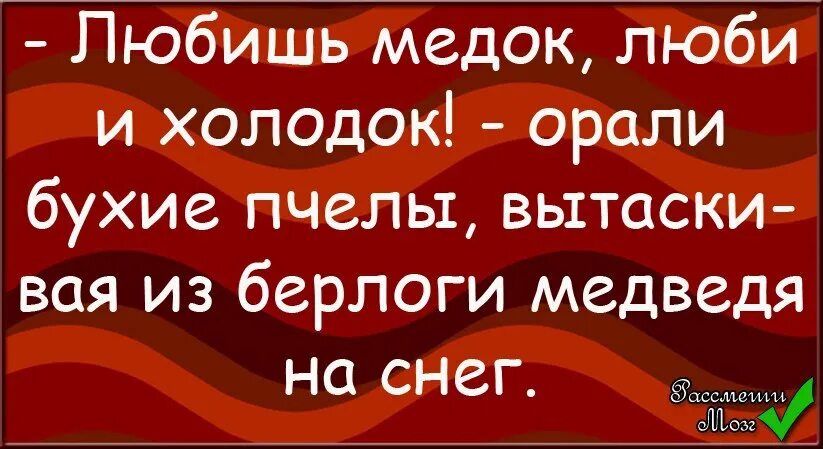 Любишь медок. Любишь медок люби и холодок кричали пьяные. Любишь медок. Пословица любишь медок. Любишь медок люби и холодок.