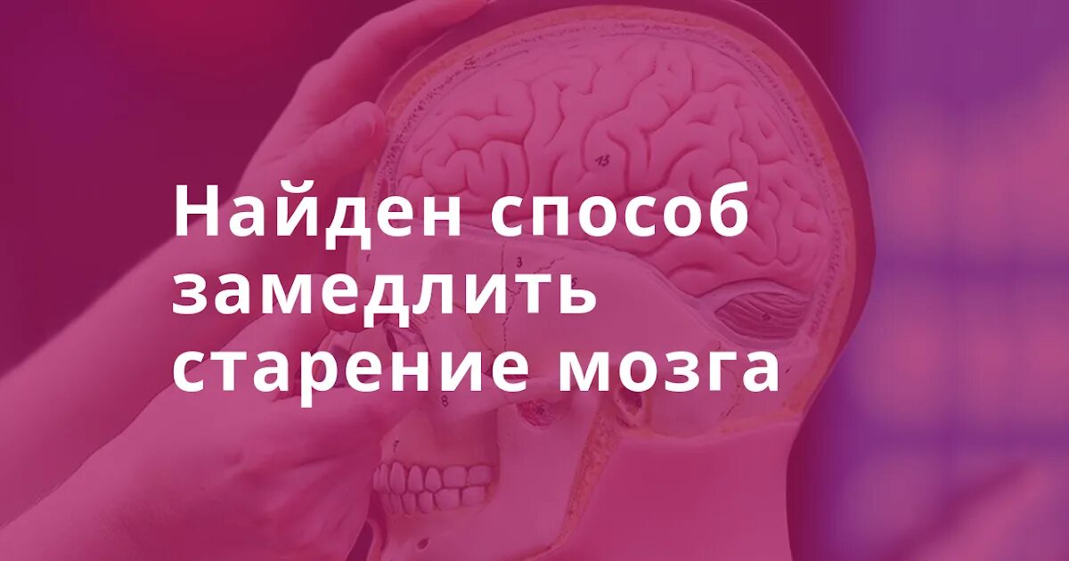 Старение мозга причины. Упражнения для замедления старения мозга. замедлить старение мозга. упражнения для мозга старение мозга-. картинки от старения мозга.