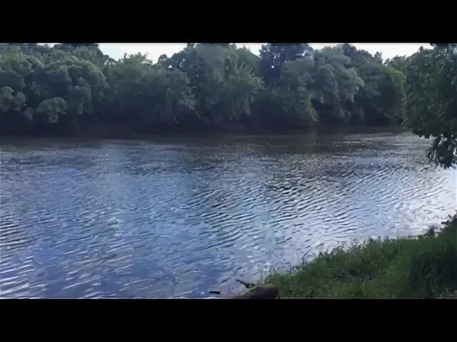 Температура в десне брянск сегодня