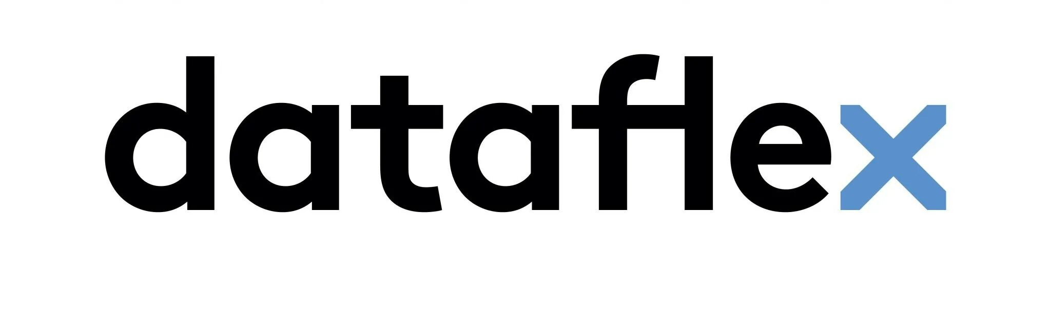 N 21 5. Dataflex. Visual Dataflex. Dataflex logo. Логотип Visual Dataflex.