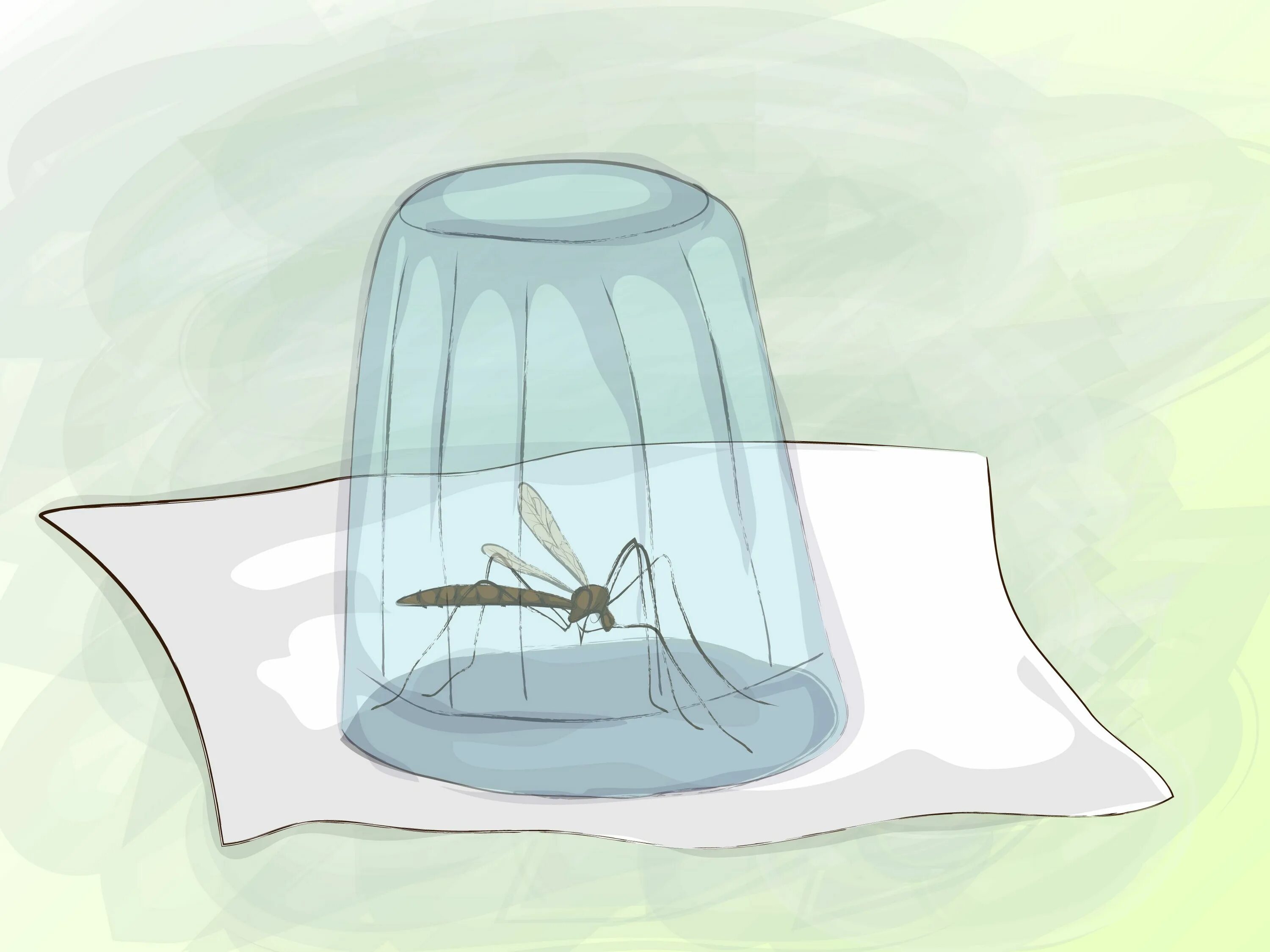 Как поймать комара в комнате быстро ночью. Клетка комара. комару котик. mosquito draw. mosquito inflation.