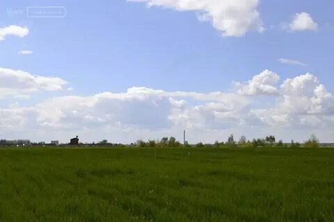 Пудомягское поселение