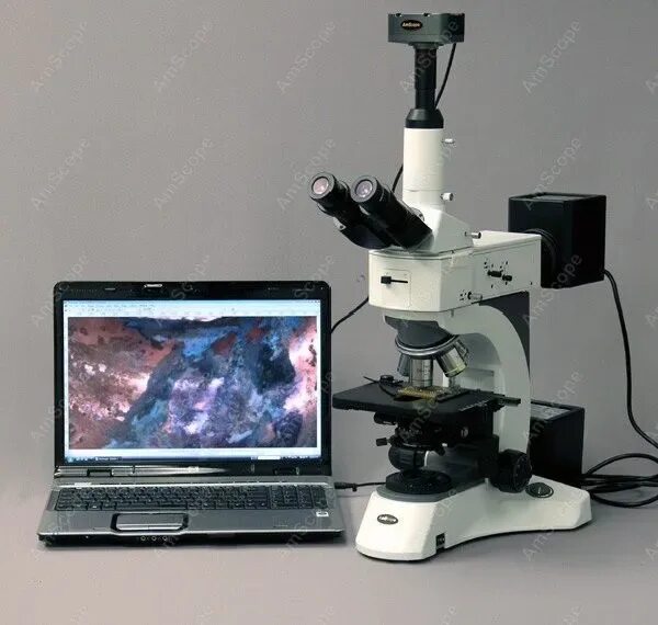 Тёмнопольный микроскоп. Тёмнопольный микроскоп. Темнопольный микроскоп saccharomyces. Поляризационный микроскоп геммология. Темный микроскоп.