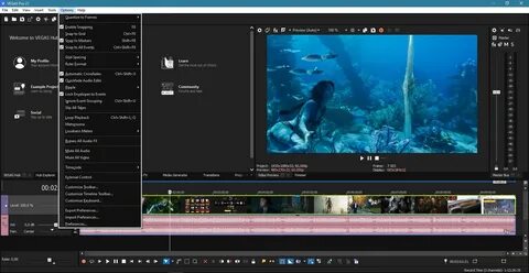 MAGIX VEGAS Pro 21.0 Build 187.