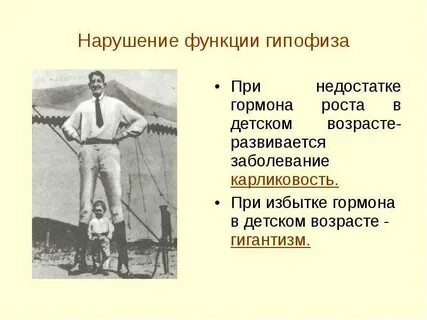 Нарушение функций гипофиза