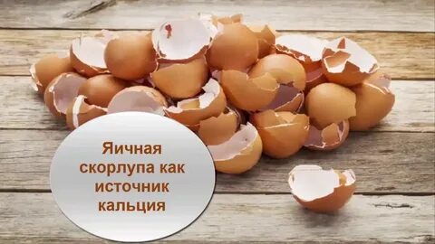 Скорлупа это кальций