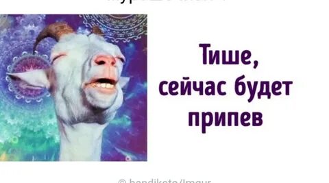 Тихо сейчас будет
