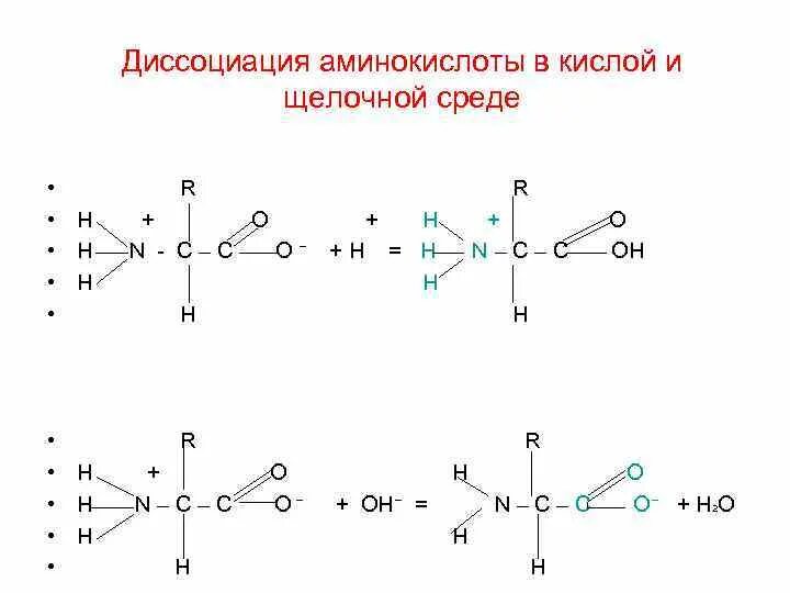 Глицин в щелочной среде. Схема диссоциации аминокислот в кислой среде. диссоциация аминокислот серина. схема диссоциации лизина. диссоциация кислых аминокислот.