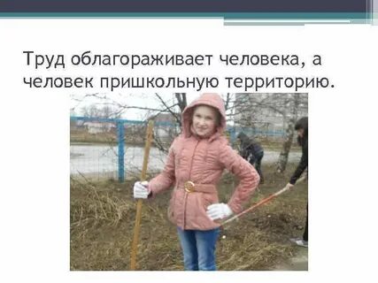 Труд облагораживает человека эссе